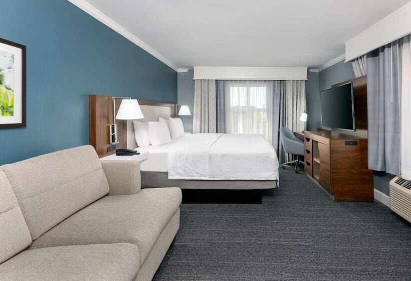 בית מלון כפרי Hampton Inn Savannah Historic District