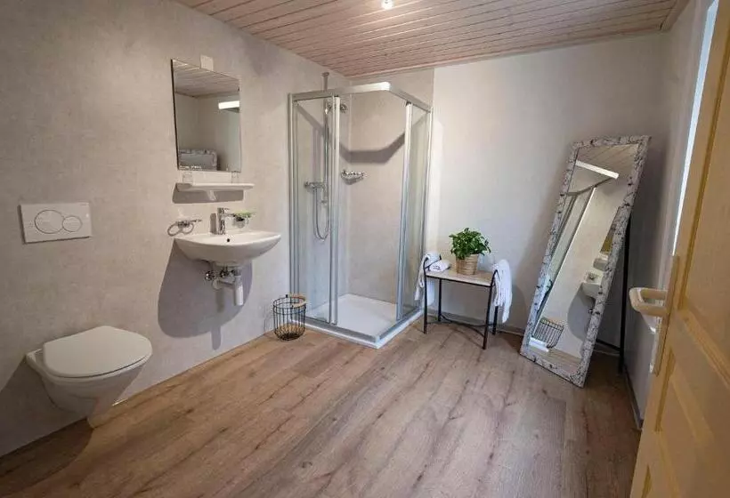 Отель Hôtel Bellavista Bellevue