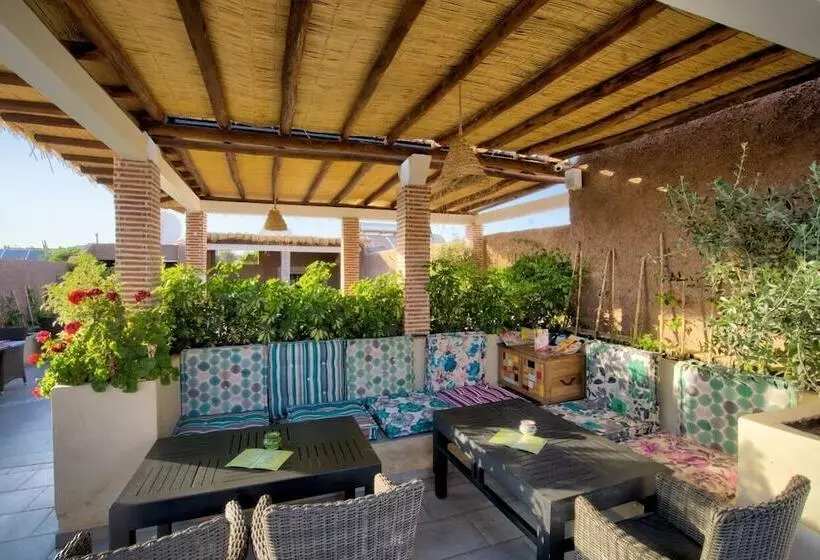 هتل Riad Les Oliviers & Spa