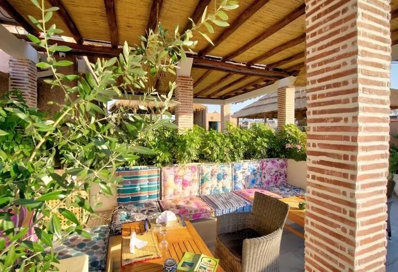 هتل Riad Les Oliviers & Spa