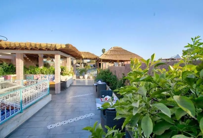 هتل Riad Les Oliviers & Spa