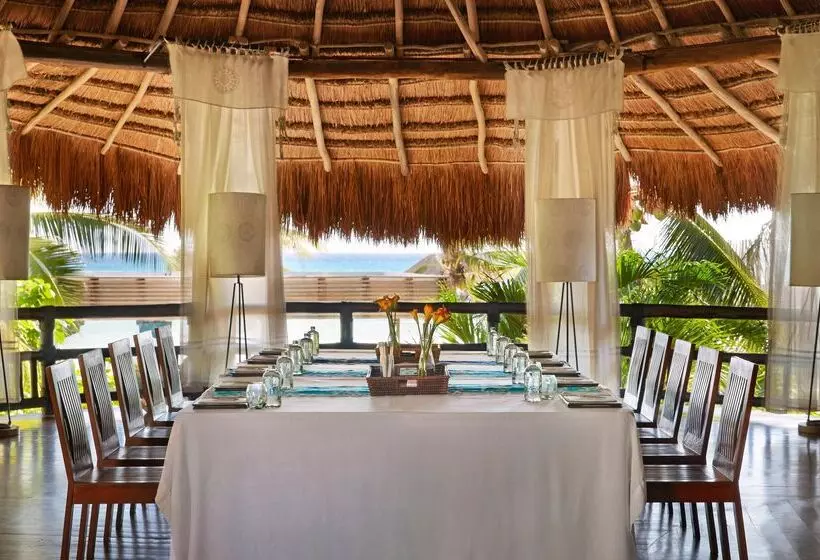 酒店 Viceroy Riviera Maya, A Luxury Villa Resort
