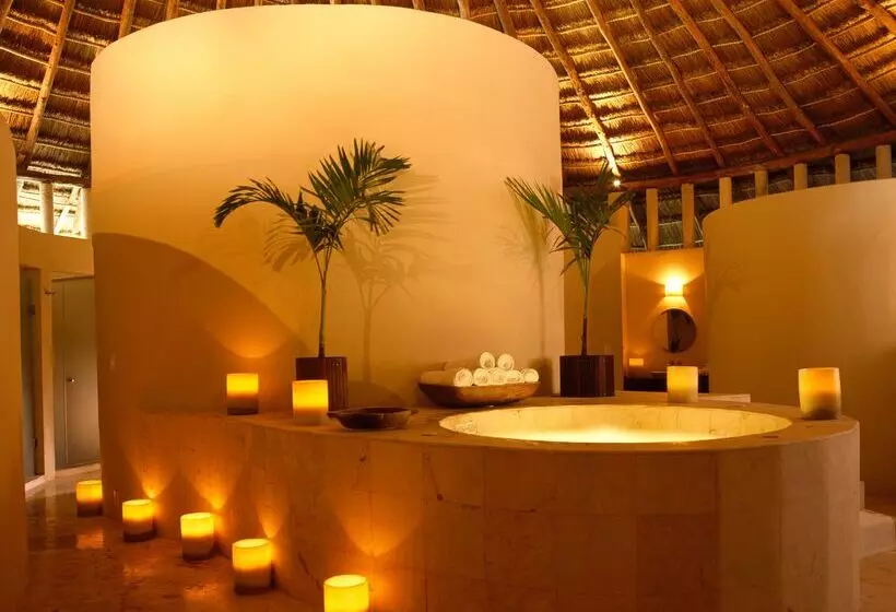 酒店 Viceroy Riviera Maya, A Luxury Villa Resort