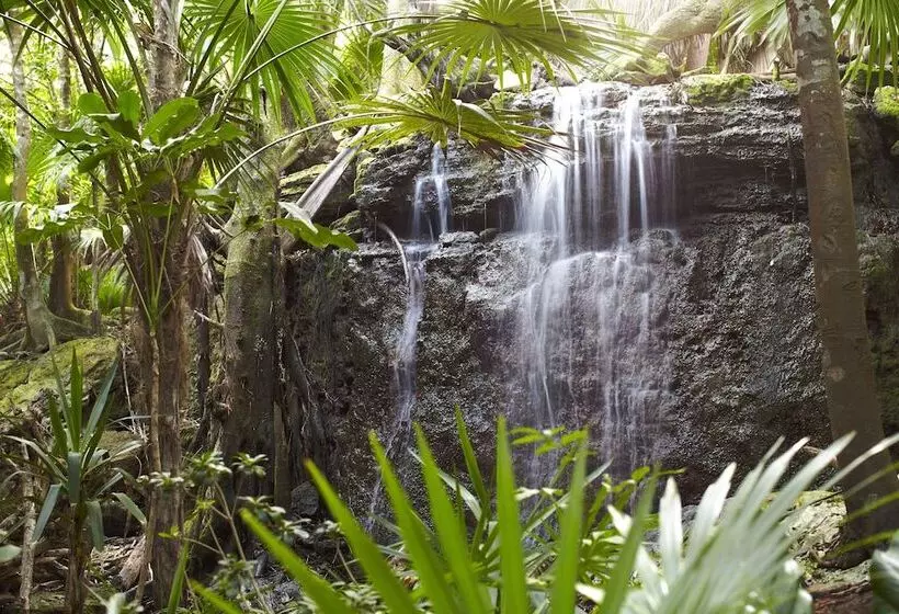 酒店 Viceroy Riviera Maya, A Luxury Villa Resort