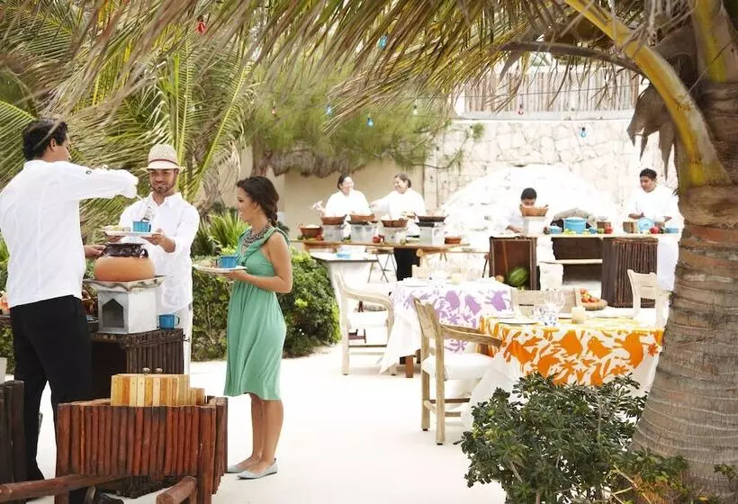 酒店 Viceroy Riviera Maya, A Luxury Villa Resort