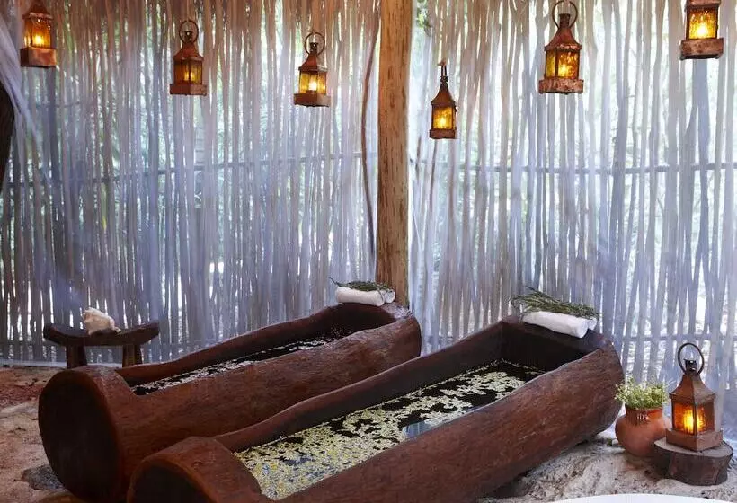 酒店 Viceroy Riviera Maya, A Luxury Villa Resort