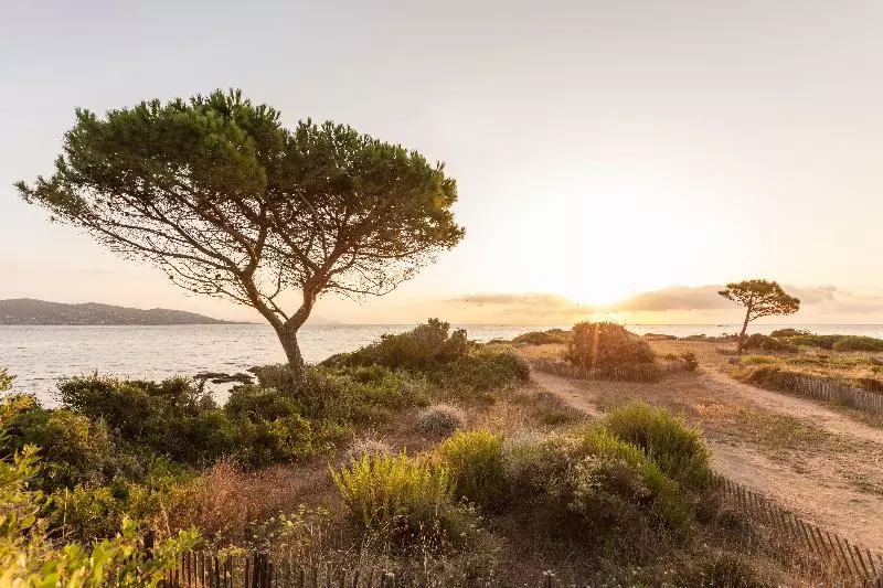 Résidence Pierre & Vacances Les Platanes