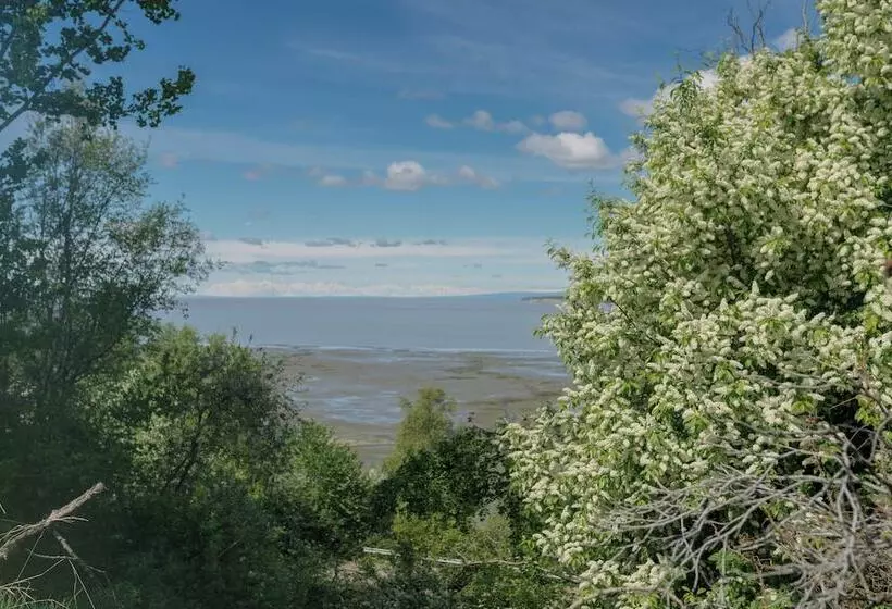 The Wildbirch Hotel - JdV by Hyatt