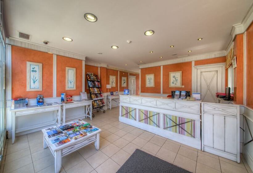 Apartamentos Piedramar