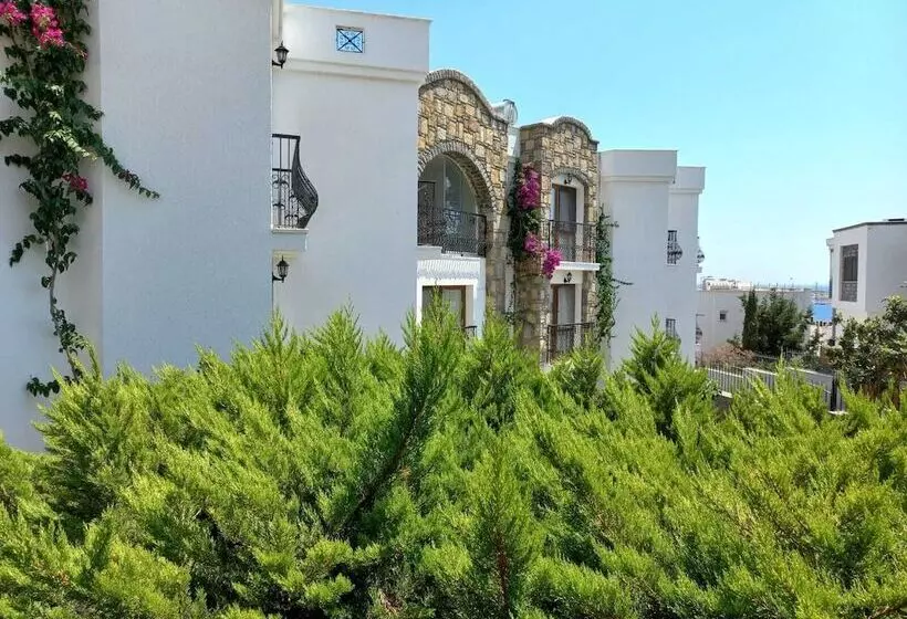 فندق Ayhan Suite