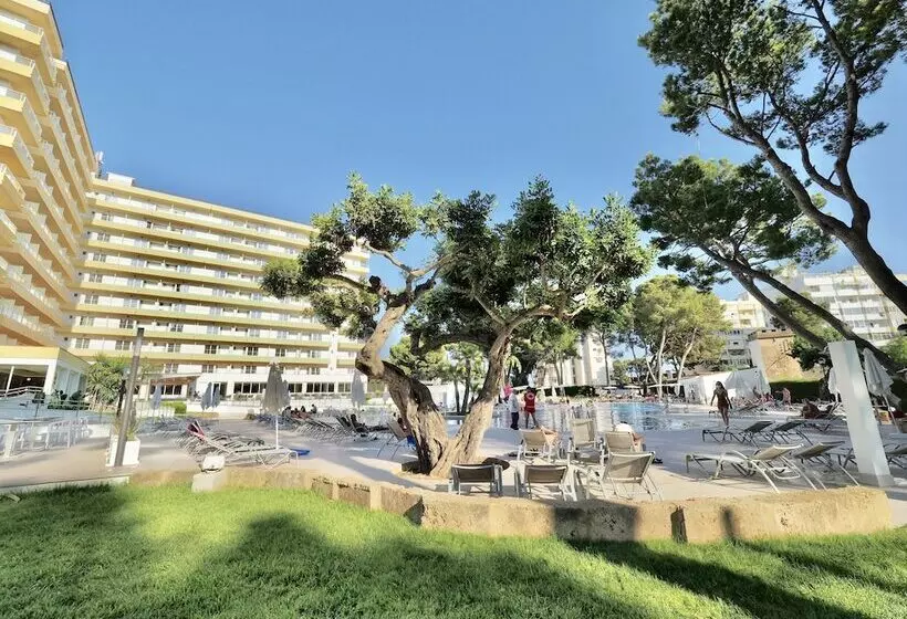 Отель Bq Belvedere