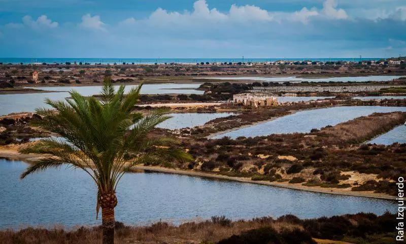 Отель Marisma Sancti Petri