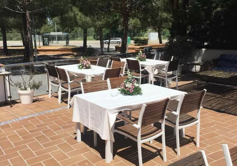 Отель Marisma Sancti Petri