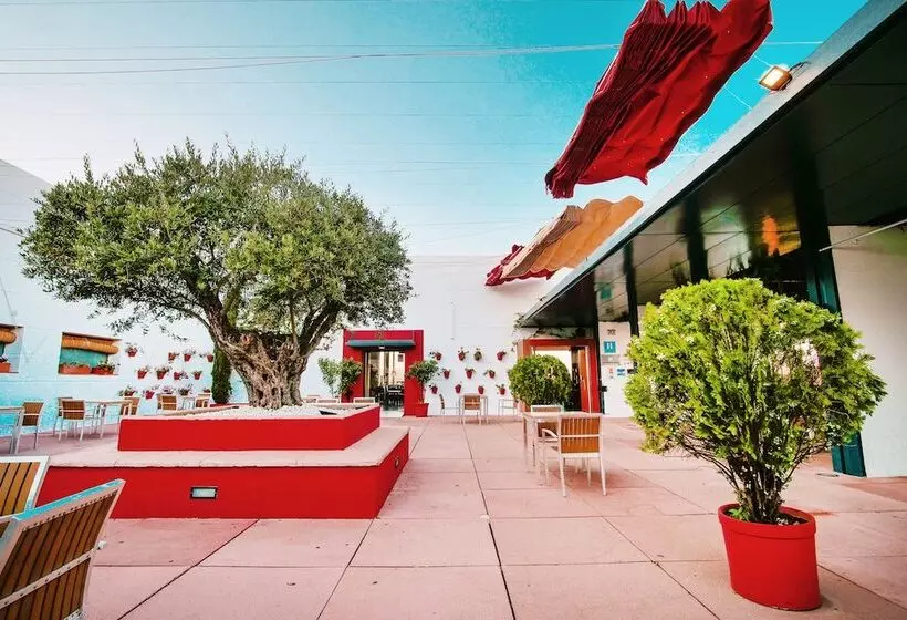 Отель Mirador De Montoro