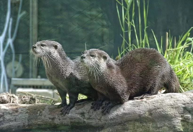 Quality Hotel Vienna