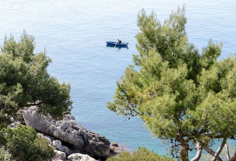 ホテル Royal Ariston