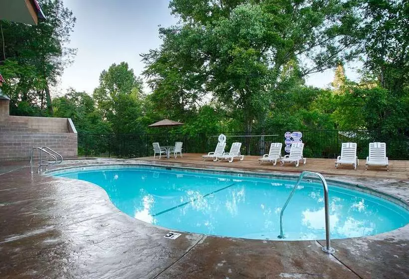 酒店 Best Western Plus Yosemite Way Station