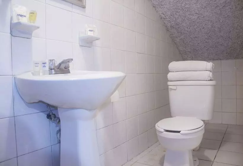 בית מלון כפרי Aristos Express Huejotzingo