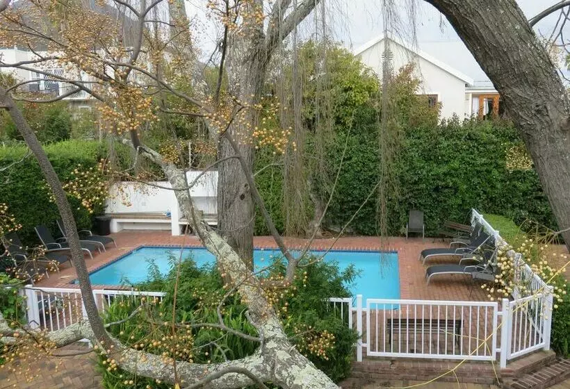 בית מלון כפרי Fynbos Villa Guest House