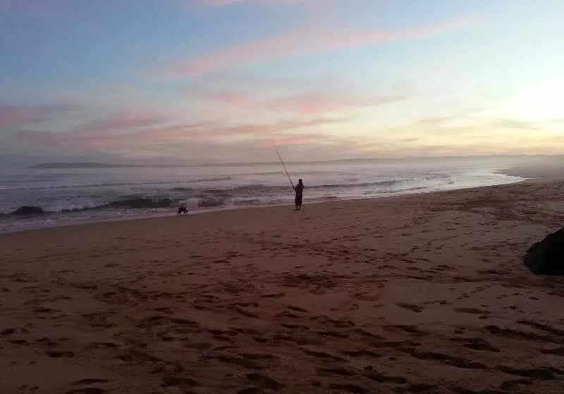 호텔 Hog Hollow Country Lodge