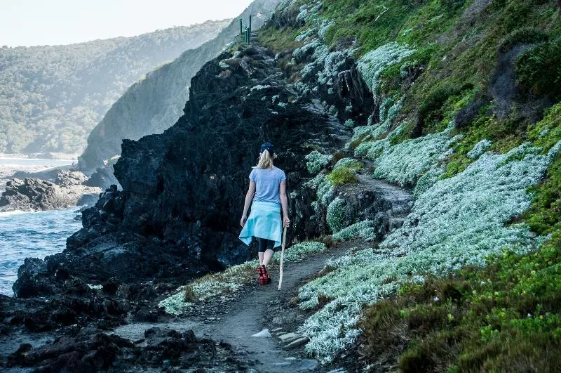 호텔 Hog Hollow Country Lodge