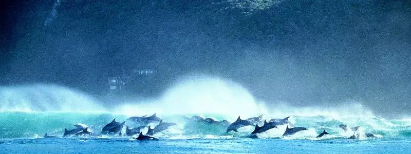 호텔 Hog Hollow Country Lodge