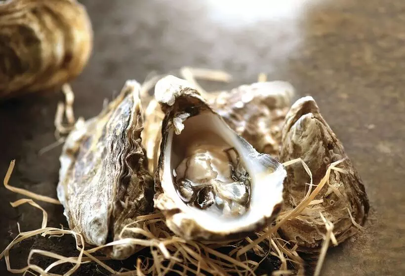 Le Suffren Hotel & Marina