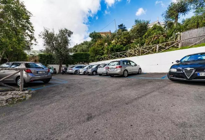 בית מלון כפרי Spicy