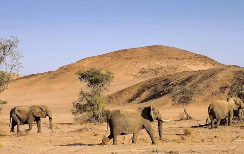 Hotel Twyfelfontein Country Lodge