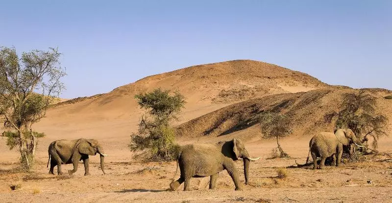 Hotel Twyfelfontein Country Lodge