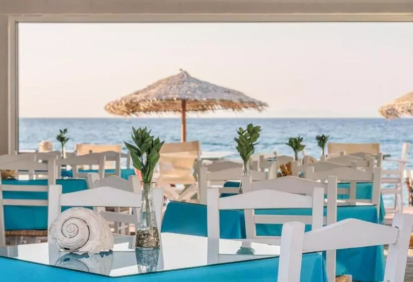 호텔 Kokkari Beach