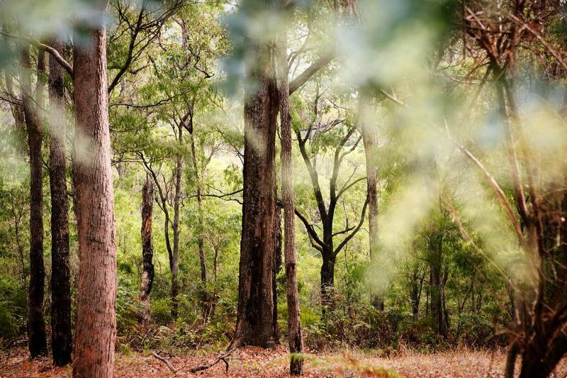 فندق Margarets Forest