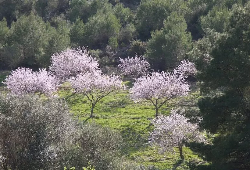 فندق ريفى Agroturisme Es Picot