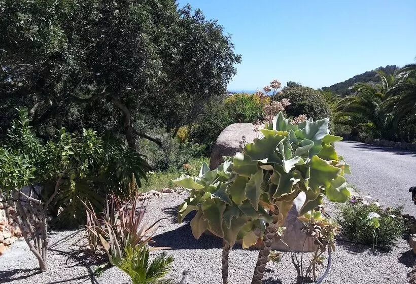 فندق ريفى Agroturisme Es Picot