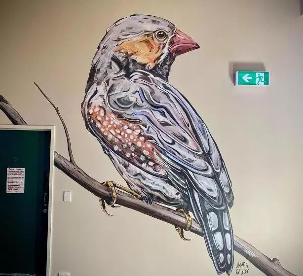 בית מלון כפרי Sundancer Backpackers Hostel