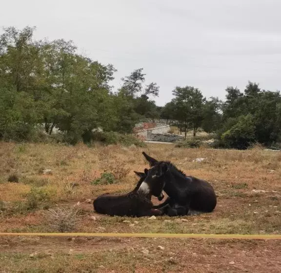 Hotell Vecchia Mottola Albergo Diffuso