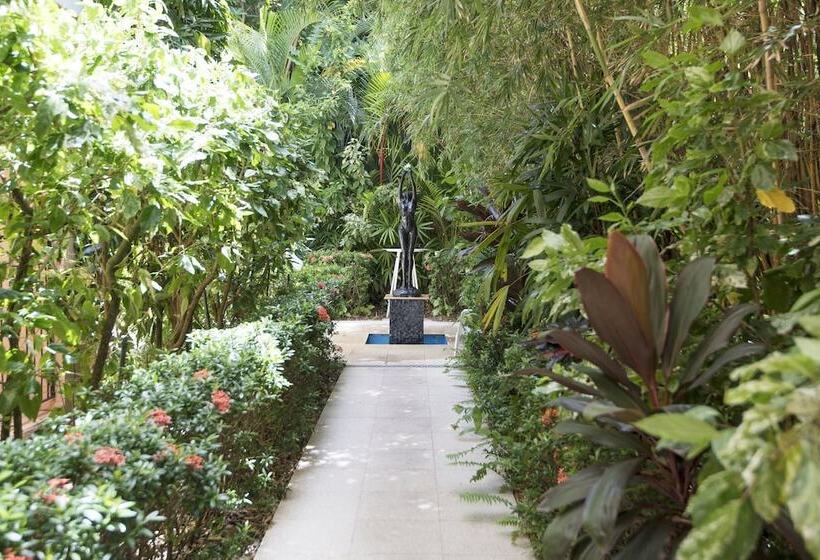 Martinique On Macrossan