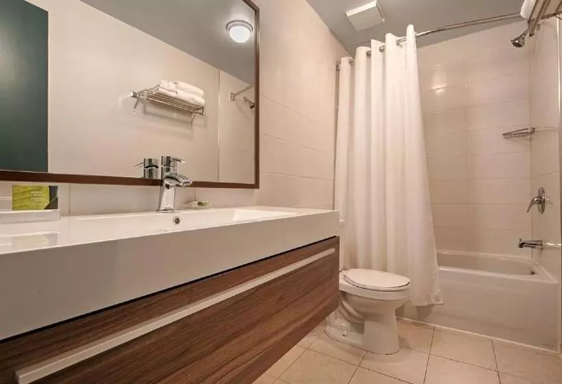 בית מלון כפרי Albert Par G5