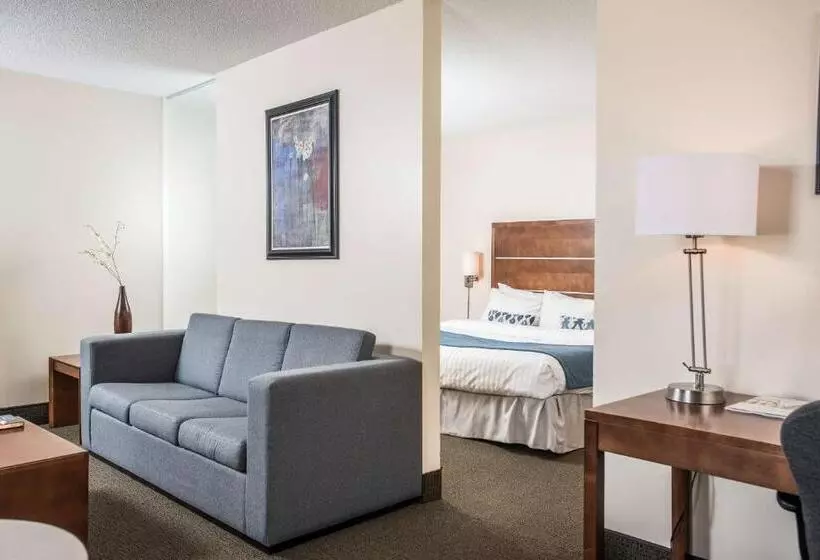 בית מלון כפרי Albert Par G5