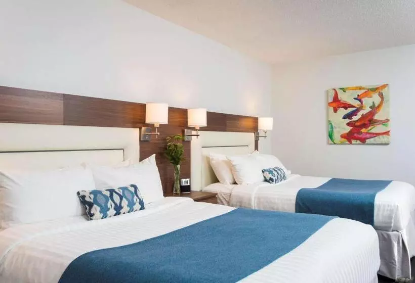 בית מלון כפרי Albert Par G5