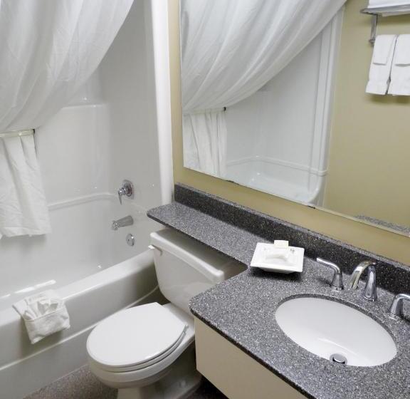 Отель Amsterdam Inn & Suites Sussex