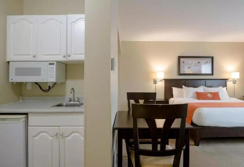 호텔 Amsterdam Inn & Suites Sussex