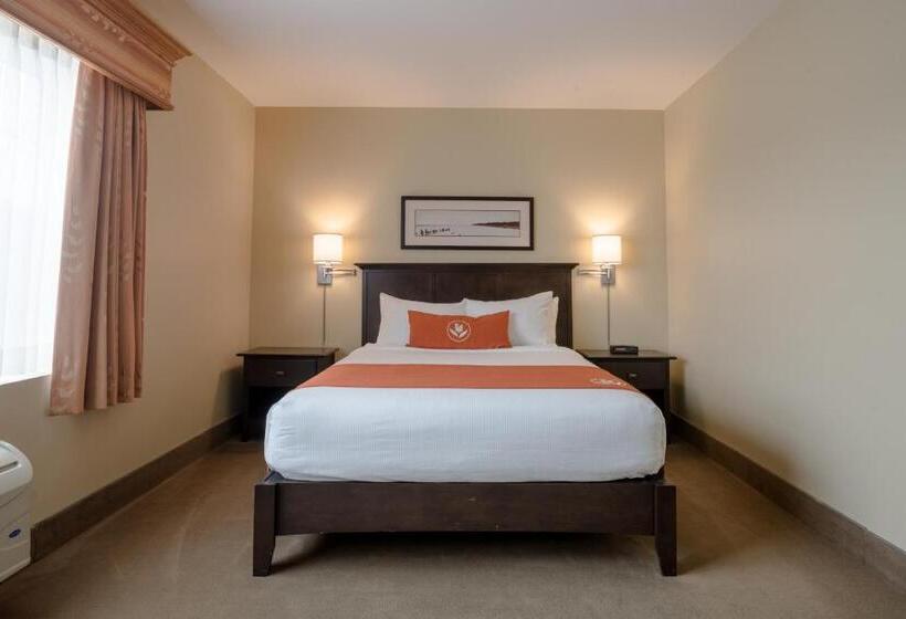 Отель Amsterdam Inn & Suites Sussex