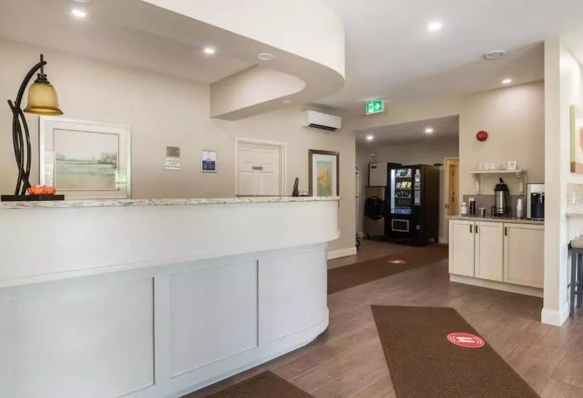 호텔 Amsterdam Inn & Suites Sussex