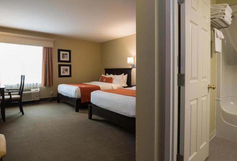 Отель Amsterdam Inn & Suites Sussex