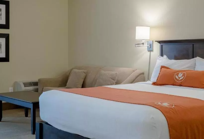 호텔 Amsterdam Inn & Suites Sussex