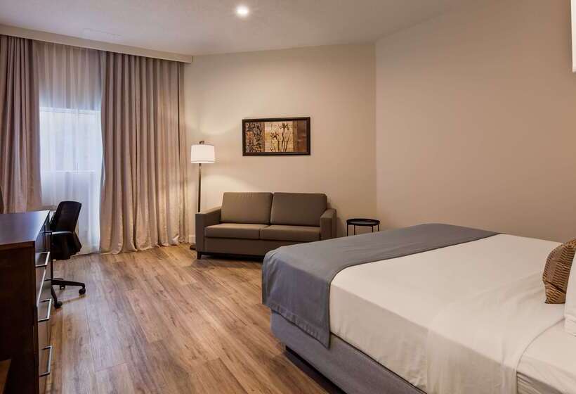 فندق Best Western Plus Montreal East
