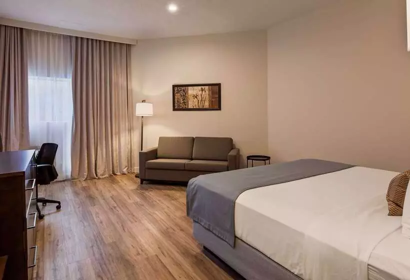 Отель Best Western Plus Montreal East