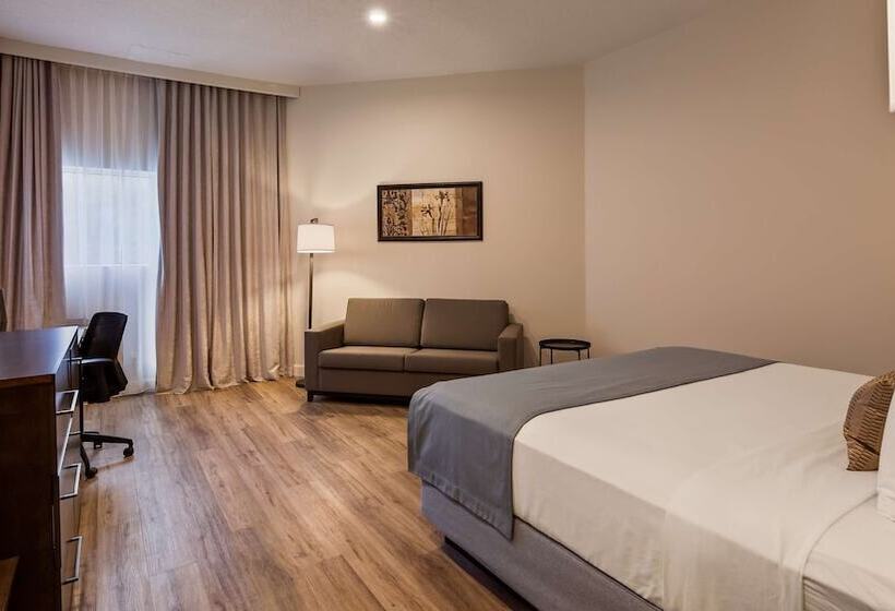 فندق Best Western Plus Montreal East