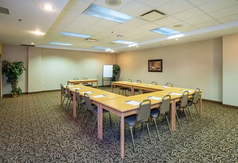 호텔 Comfort Inn & Suites